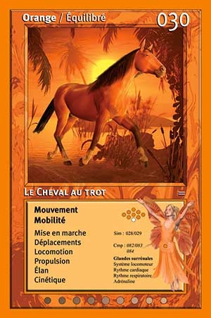 Carte tarot 030 Le Cheval au Trot oracle couleurs arc-en-ciel orange