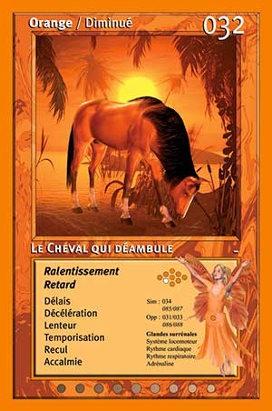Carte tarot 032 Le Cheval qui Déambule oracle couleurs arc-en-ciel orange