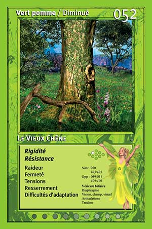 Carte tarot 052 Le Vieux Chêne oracle des couleurs arc-en-ciel Vert Pomme