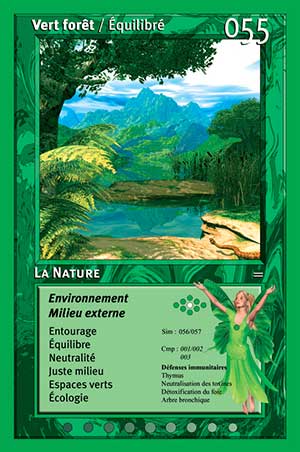 Carte tarot 055 La Nature oracle des couleurs arc-en-ciel Vert Forêt