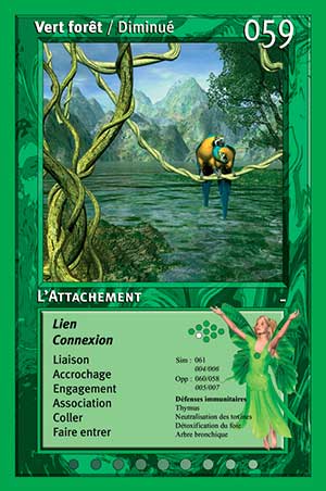 Carte tarot 059 vert oracle des couleurs arc-en-ciel Vert Forêt