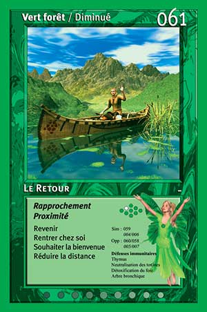 Carte tarot 061 Le Retour oracle des couleurs arc-en-ciel Vert Forêt