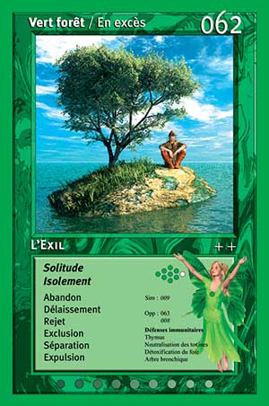 Carte tarot 062 l'exil oracle des couleurs arc-en-ciel Vert Forêt