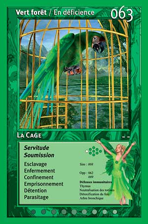 Carte tarot 063 la cage oracle des couleurs arc-en-ciel Vert Forêt
