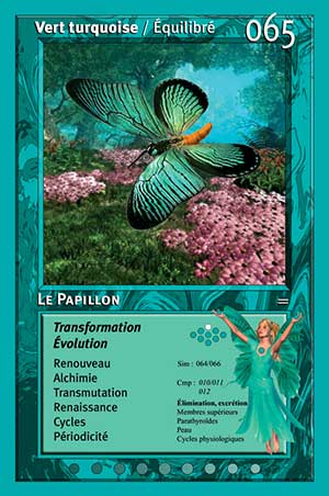 Carte tarot 065 le papillon oracle des couleurs arc-en-ciel turquoise