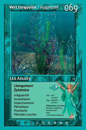 Carte tarot 069 les algues oracle des couleurs arc-en-ciel turquoise
