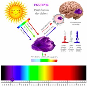 Formation théorie des couleurs